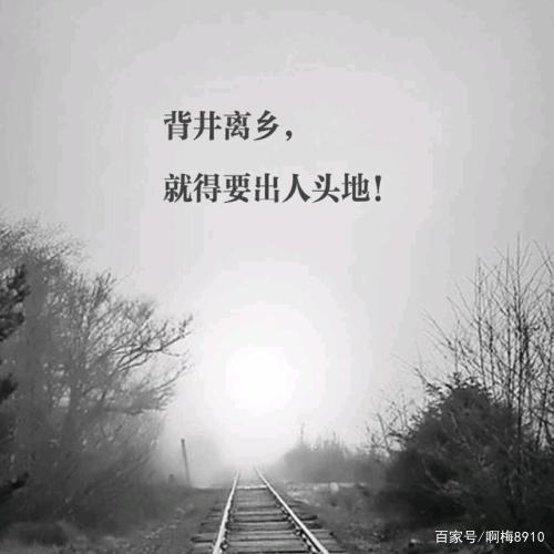 柳暗花明又一村,背井离乡不敢问打一生肖详细解答、解释与落实、前沿解答解释落实