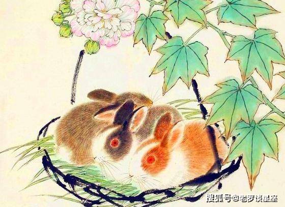 安身立命打一最佳生肖全面释义、详细解答解释落实