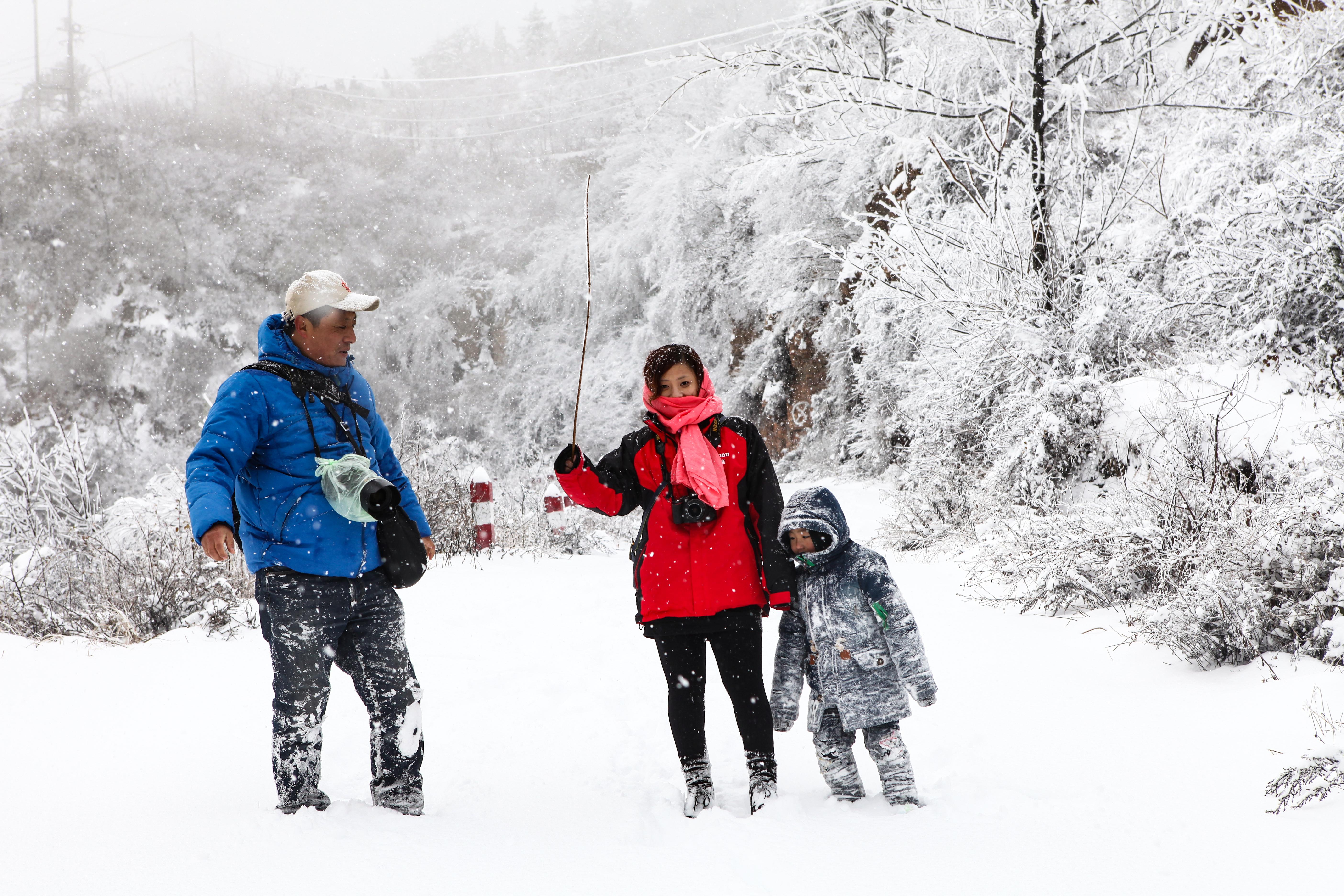 旁门左道谁能及，雪中应学山上松打一准确生肖详细解答、专家解答解释落实